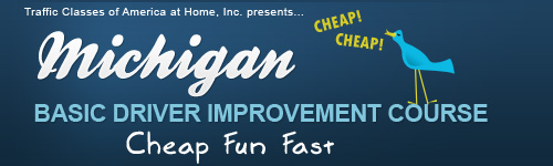 Michigan Online Basic Driver Improvement Course